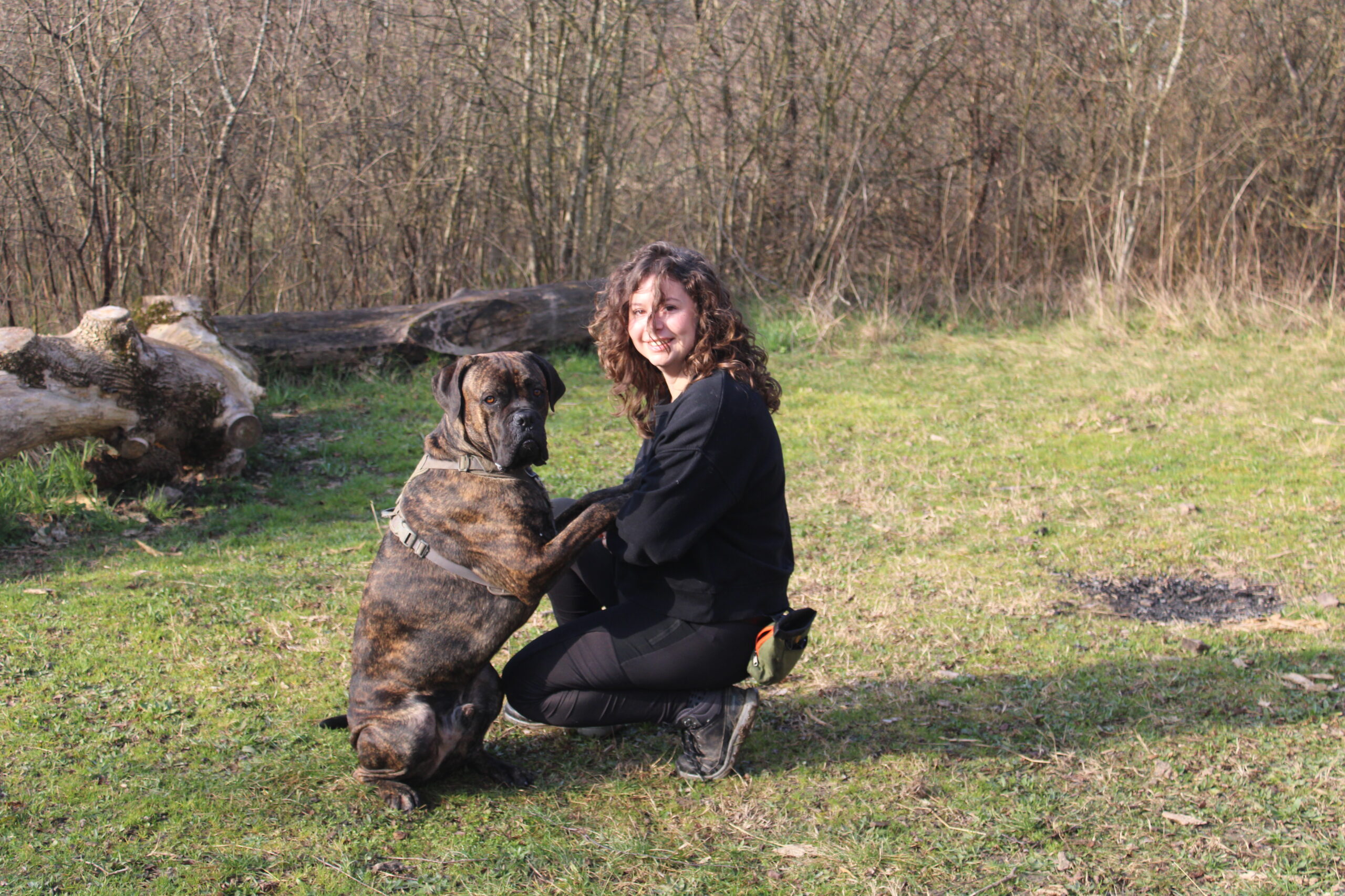 Médiation canine