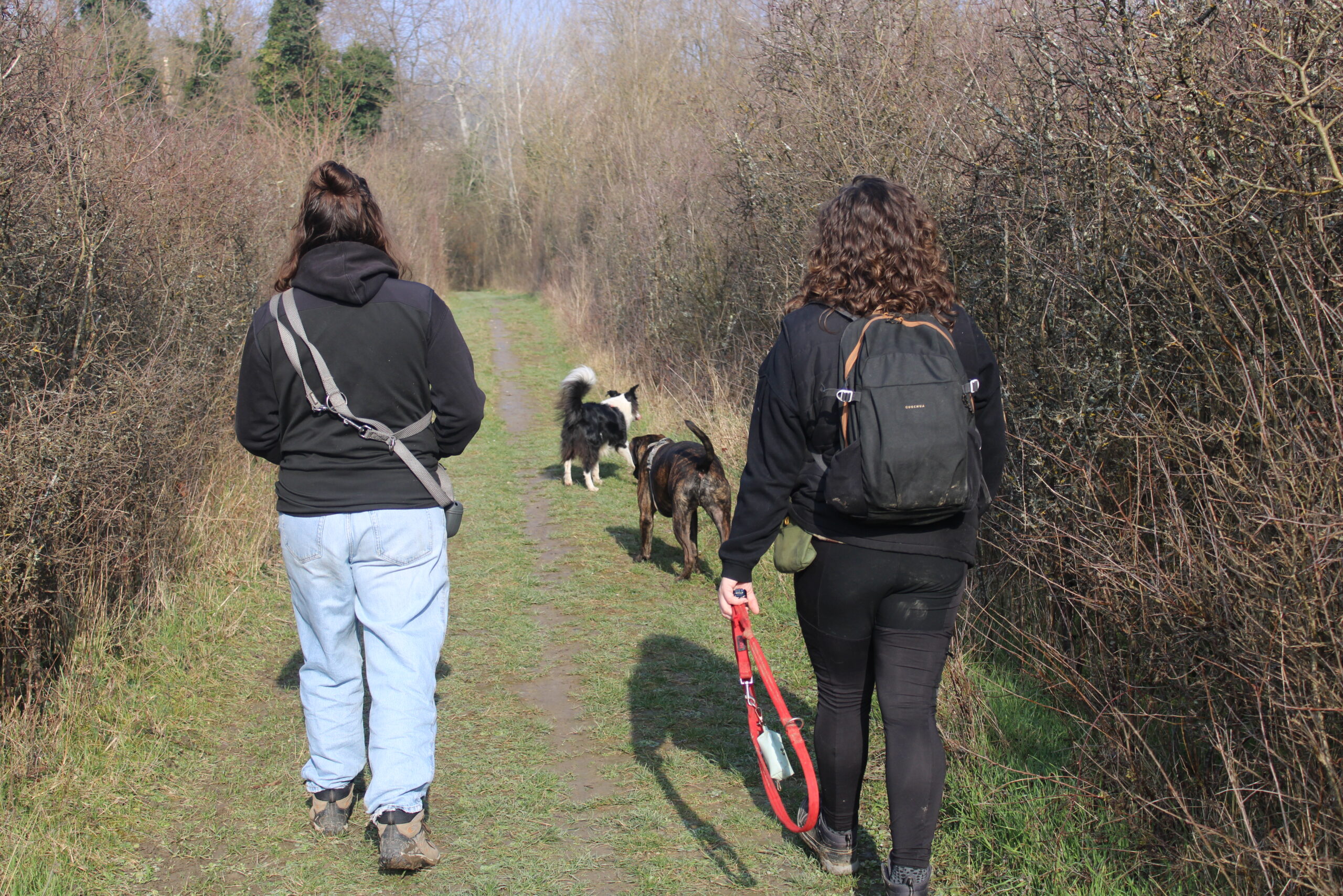 Cours collectifs et balades